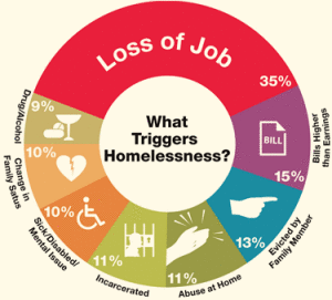 Causes of Homelessness Chart_THIS ONE